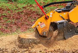 Best Firewood Processing and Delivery  in Jonesboro, GA